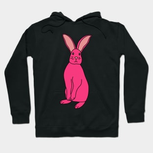 Pink Bunny Hoodie